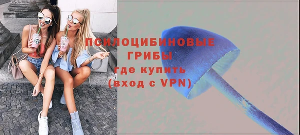 mdpv Алексин