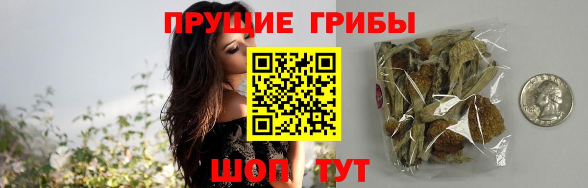 купить закладку  Вход с VPN  Нурлат  Псилоцибиновые грибы мицелий 